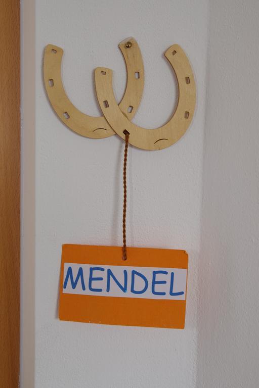 Wiesmuellerhof Caldaro Kültér fotó
