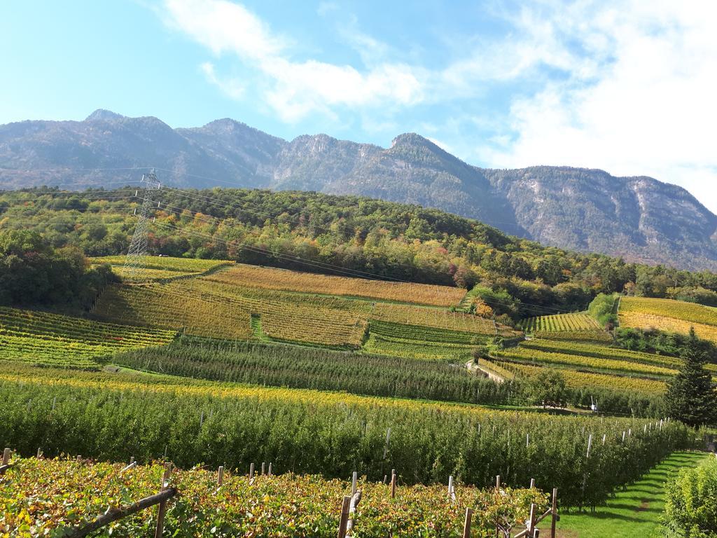Wiesmuellerhof Caldaro Kültér fotó